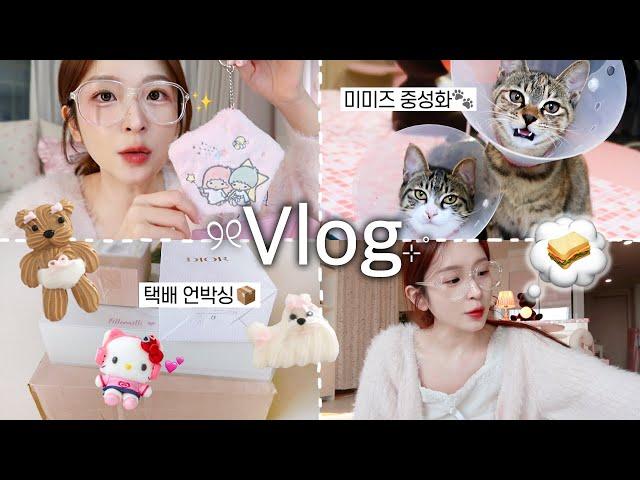 VLOG 쥔짜 별 거 없는 집순이 일상!𓂃⊹˚₊·