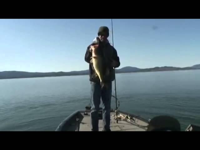 Irod Swimbait Fishing With Paul Bailey