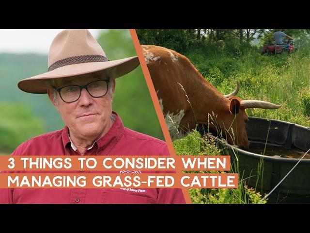 3 Things to Consider When Managing Grass-Fed Cattle | Joel Salatin