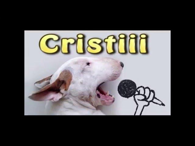 Maneaua lui CRISTI HIT 2016 Oficial