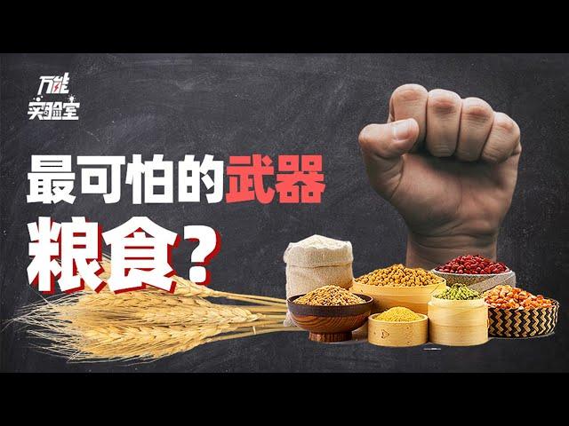 掌握粮食就掌握了人民：中国该如何在中美粮食战争中保卫好自己？丨万能实验室