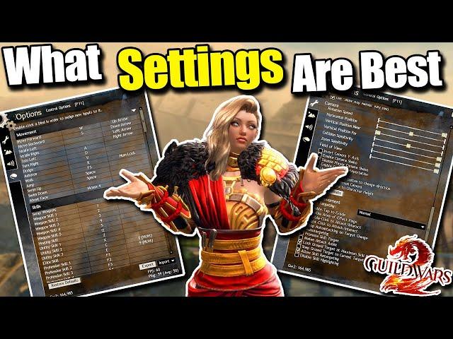 What are the BEST Guild Wars 2 Game Settings? | Guild Wars 2 Settings Guide