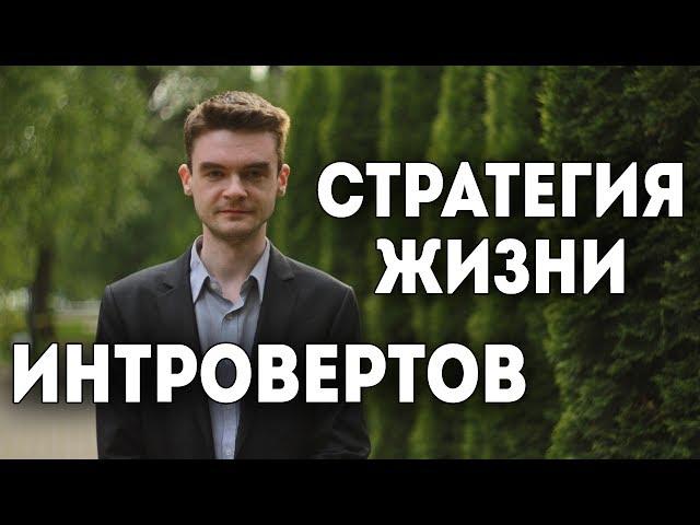 Стратегия интровертов. Сьюзан Кейн. Амбиверсия