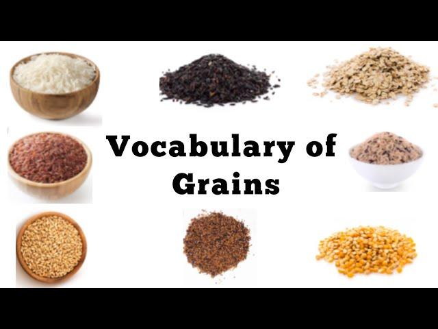 English Vocabulary for Grains | Learn English Words |