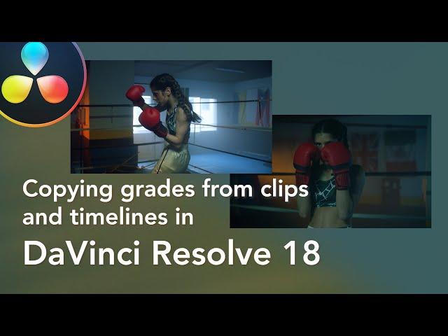 Copying grades from clips and timelines in DaVinci Resolve 18