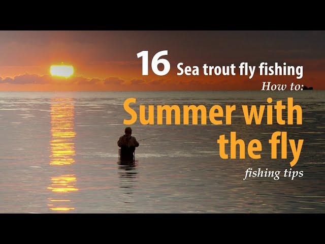 How to • Sea trout - Fly fishing • Summer with the fly • fishing tips