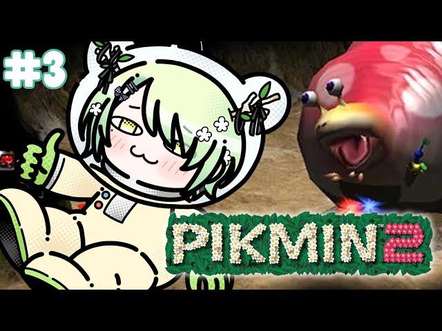 【Pikmin 2】 They're calling it the hardest pikmin game ever released | #3