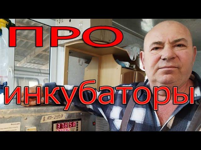 Сколько раз проветривать инкубатор? Для чего нам канал Ютуб?