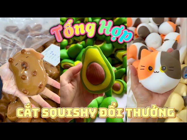 Tổng Hợp Cắt Squishy Đổi Thưởng Tập 27 | Squishy Ngựa Có Kim Cương..(Quỳnh Vịt)