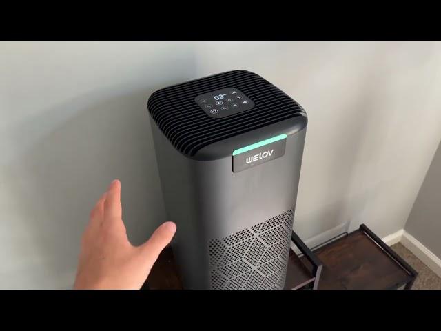 WELOV Air Purifiers for Home Large Room, PROS & CONS List After Owning For 6 Months