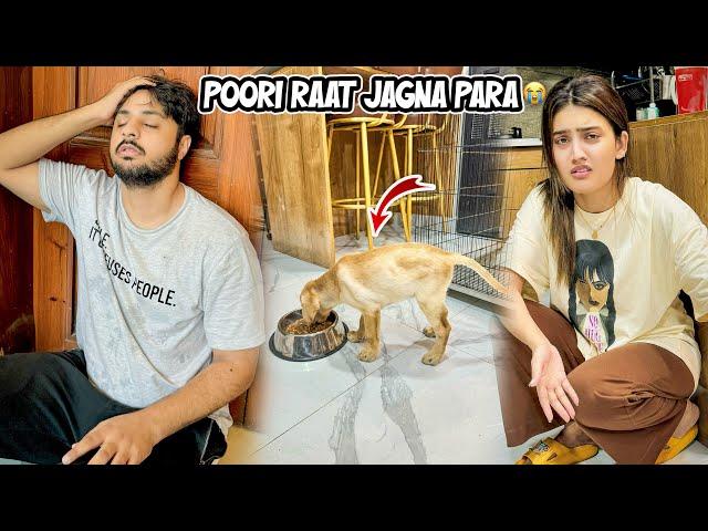 BROWINE NY SONA HARAM KER DEA  | Puri Raat Jag K Guzari 