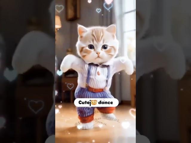 Funny_Cat_Dance___#funny_#cats_#cat_#cute_#cutecat_#viral_#shorts_#animals_#world_‪(360p)