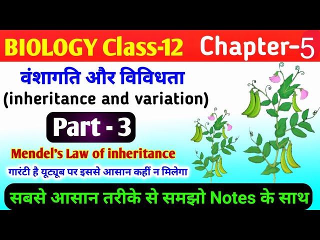 biology class 12 chapter 5 | inheritance and variation | mendal ke niyam | mendel's law | मेंडल नियम