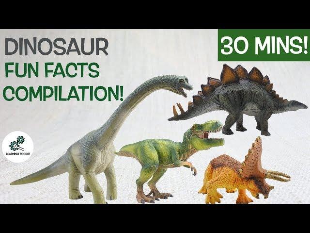 Learn about DINOSAURS! | Fun & Educational Compilation | Jurassic World Dominion Dinosaur Facts