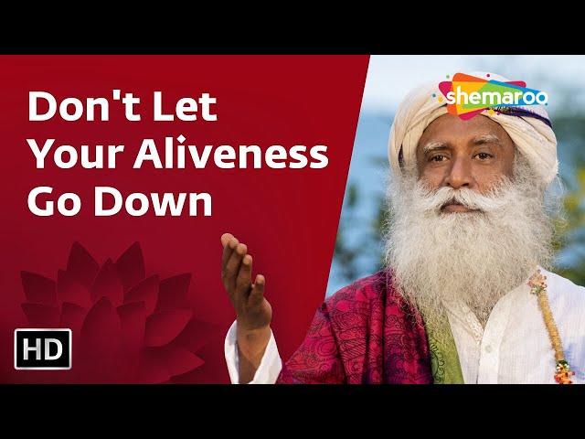 Don't Let Your Aliveness Go Down | Sadhguru | Shemaroo Spiritual Life