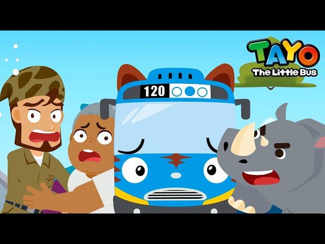 The Rhino's Horn Has Gone Missing! l Safari Bus Tayo l Learn Animals with Tayo & Vehicles