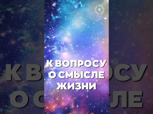 #БлагоВест  К вопросу О СМЫСЛЕ ЖИЗНИ