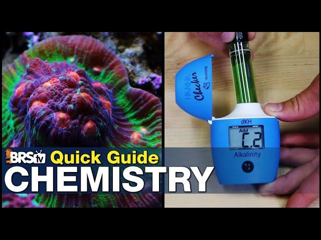 Quick Guide to Mastering Reef Tank Chemistry - Become an expert reef tank chemist without a degree!