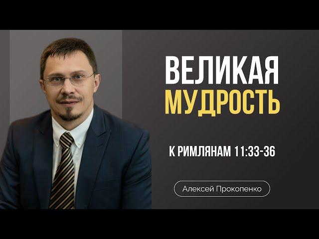 Великая мудрость Божьего замысла | Алексей Прокопенко