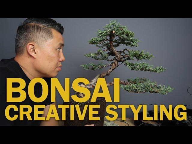 Juniper Bonsai Styling - Working with Average Material