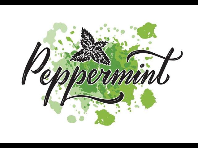 Bulk Peppermint Essential Oil Wholesale Supplier