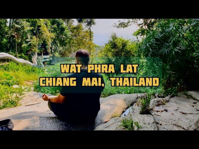 5 joyas de Chiang Mai  parte 4 Wat Phra Lat: ruinas en la jungla de Tailandia - Thailand vlog HD