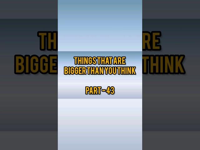 Things That Are Bigger Than You Think  #thingsthatarebiggerthanyouthink #justvideo