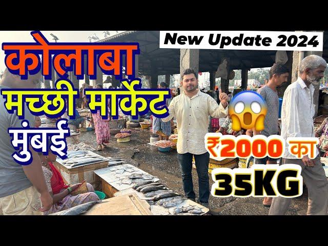 COLABA FISH MARKET IN MUMBAI 2024|| Sassoon Dock Fish Colaba In Mumbai, Wholesale and Retail market