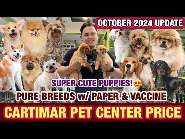 OCTOBER 2024 UPDATED CARTIMAR PET PRICELIST + GIVEAWAY! CUTE & PURE BREED PUPPIES *MUST WATCH*