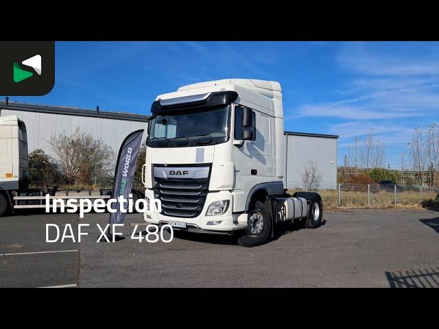 DAF XF 480 - 2020 - BAS World