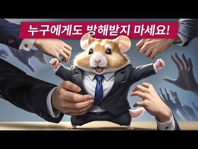 햄스터 피드: 모든 것에 성공하는 방법