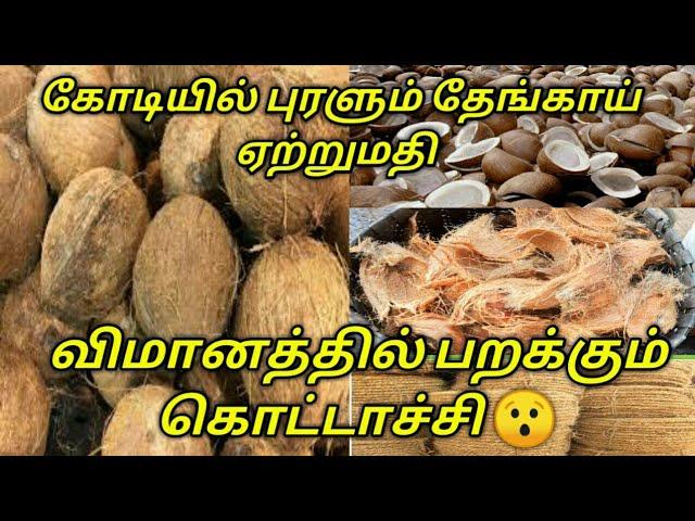 Coconut wholesale and export business full details / தேங்காய் ஏற்றுமதி வியாபாரம் பற்றிய தொகுப்பு