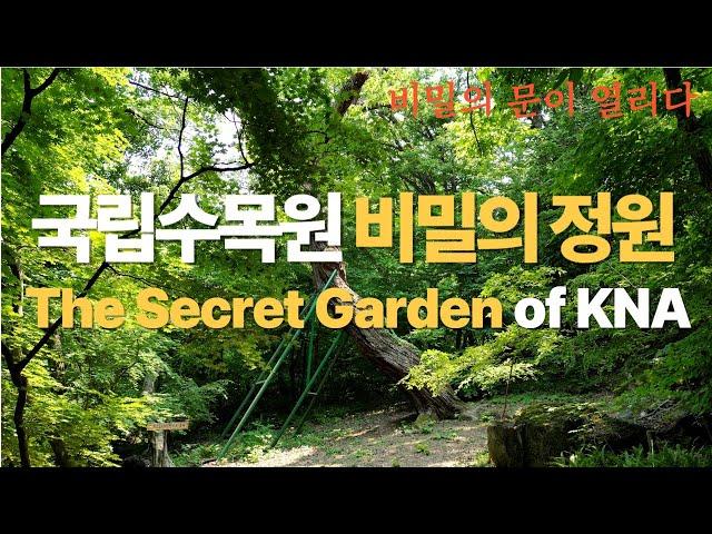 [6월 힐링 영상] 국립수목원 비밀의 정원