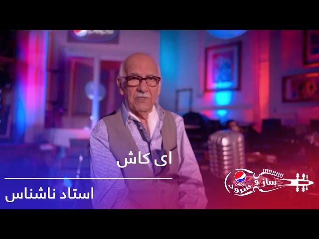 استاد ناشناس - ای کاش / Pepsi's Saz O Surood - Ustad Nashenas - Ay Kash