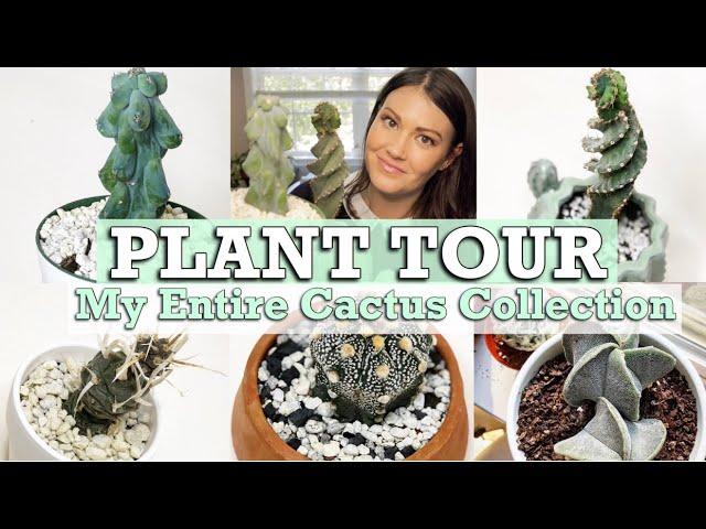 HOUSE PLANT TOUR / MY ENTIRE CACTUS COLLECTION 