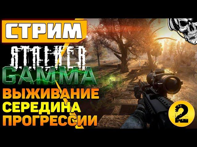 Дробовик для монстров, автомат для людей ️ S.T.A.L.K.E.R. Anomaly GAMMA (часть 2)