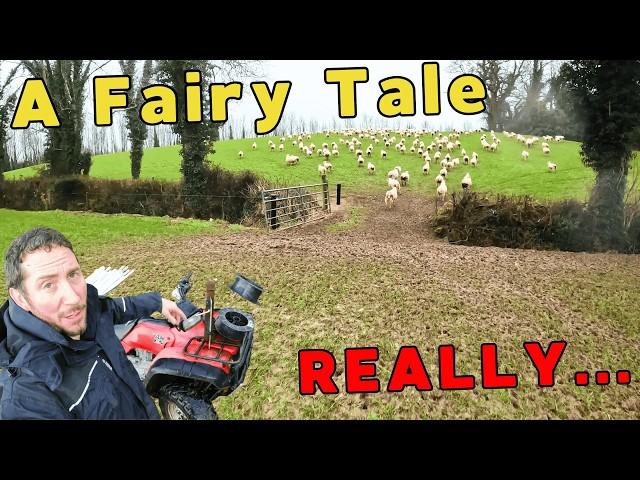 Sheep Work: Fencing, Fails & Fairy Tales