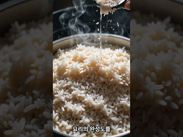 냉동밥, 그냥 넣지 마세요!#자취템 #냉동밥용기 #전자레인지OK #자취생필수템 [냉동밥 전용 보관용기 보러가기https://link.coupang.com/a/czbJvN