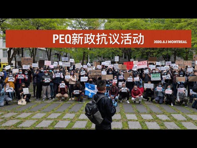 2020蒙特利尔PEQ新政抗议活动 Manifestation contre la réforme du PEQ 2020.06.01#PEQ #peqinjustice