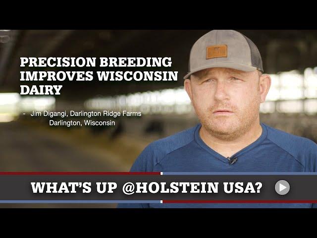 What's Up at Holstein USA: Precision Breeding