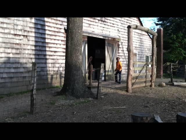 The Running of the Goats at Benner's Farm