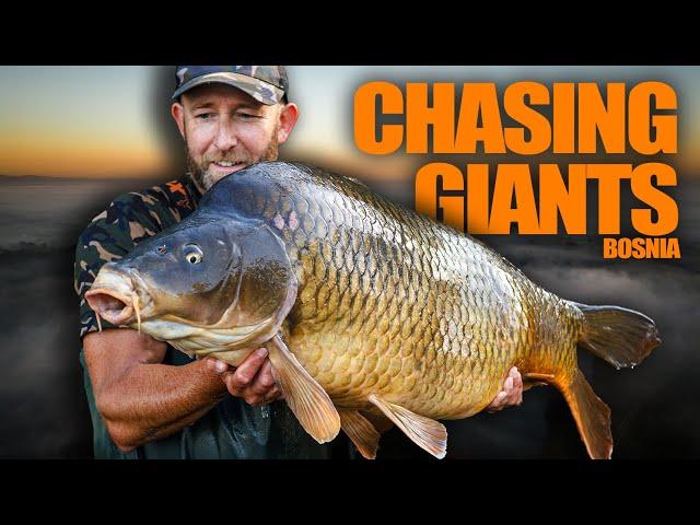 1300 Mile Trip + Mark Pitchers = Huge Carp    | Carp Fishing in Bosnia