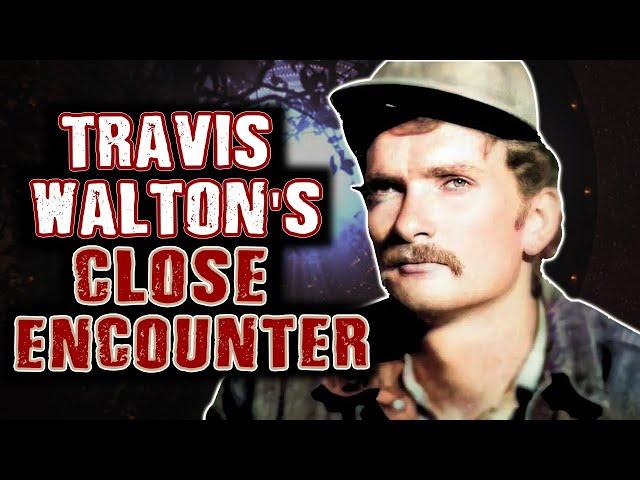 Travis Walton's Terrifying Abduction Encounter: A Deep Dive Into The Alien Experience