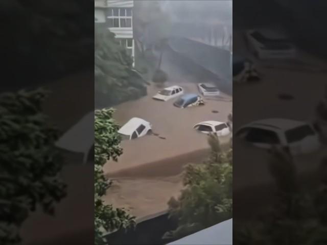 Devastation Strikes France’s Reunion Island: Tropical Cyclone Garance Causes Widespread Damage