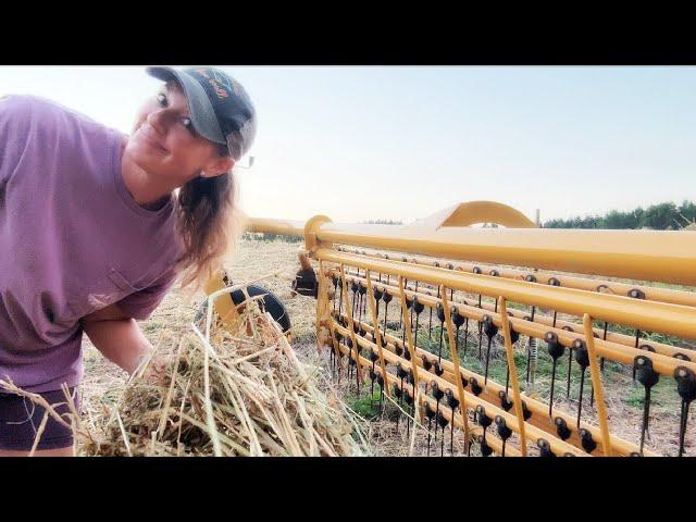 Baling By The Light Of The Moon  Is Hemp Hay Even Worth It?!