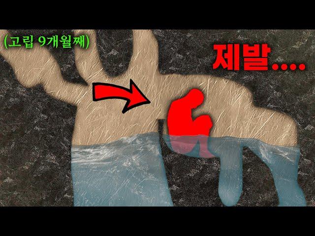 아무런 장비 없이 수직 동굴에 간 남성의 최후.... [기기괴담/으스스한 STORY]