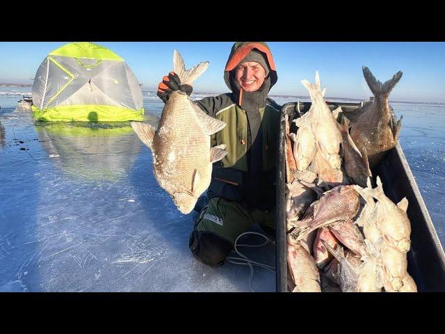 ВОТ ЭТО МОНСТРЫ!!! КРУПНЯК ДУРЕЕТ ОТ ЭТОЙ ПРИКОРМКИ! Рыбалка с ночевкой. Зимняя рыбалка 2025.