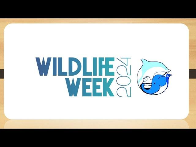 5 minutes video on WILDLIFE WEEK 2024