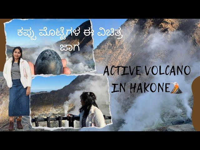 A day tour to HAKONE #hakone #owakudani  #blackegg #volcano #kannada #youtube #day #yt