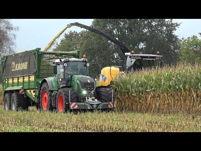 Mais hakselen door loonbedrijf Altena met New Holland FR9050 en 2 Fendt 930 Vario trekkers (2024)